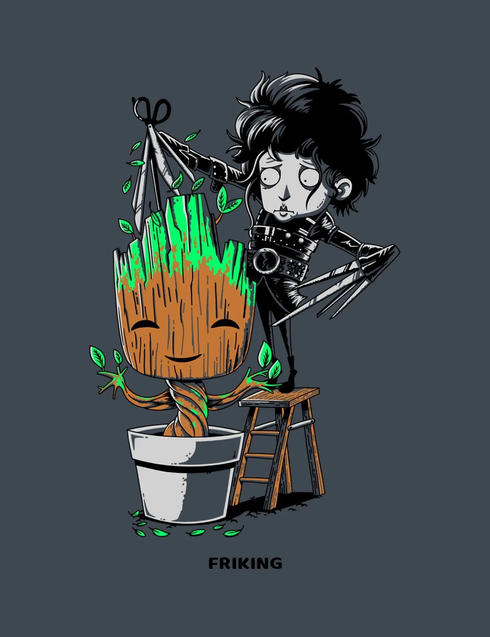 Barber Plant - D 73 - Image 2
