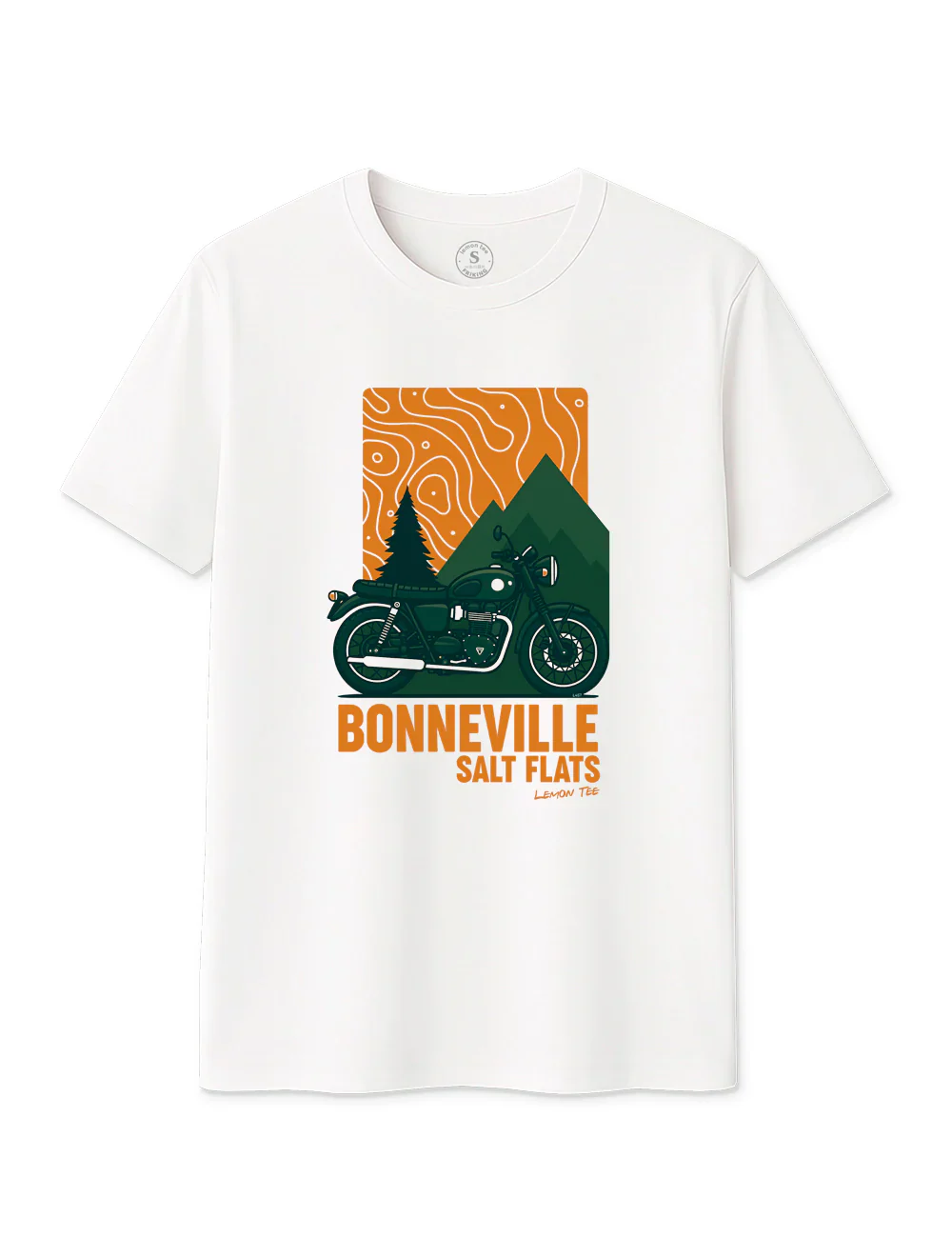 Bonneville salt flats L457