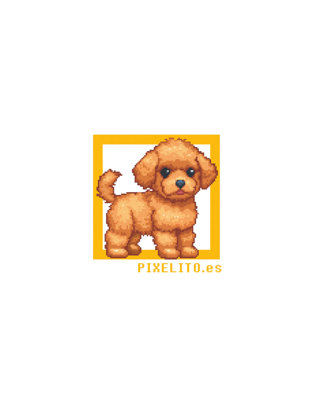 Maltipoo - 038PX - Image 3