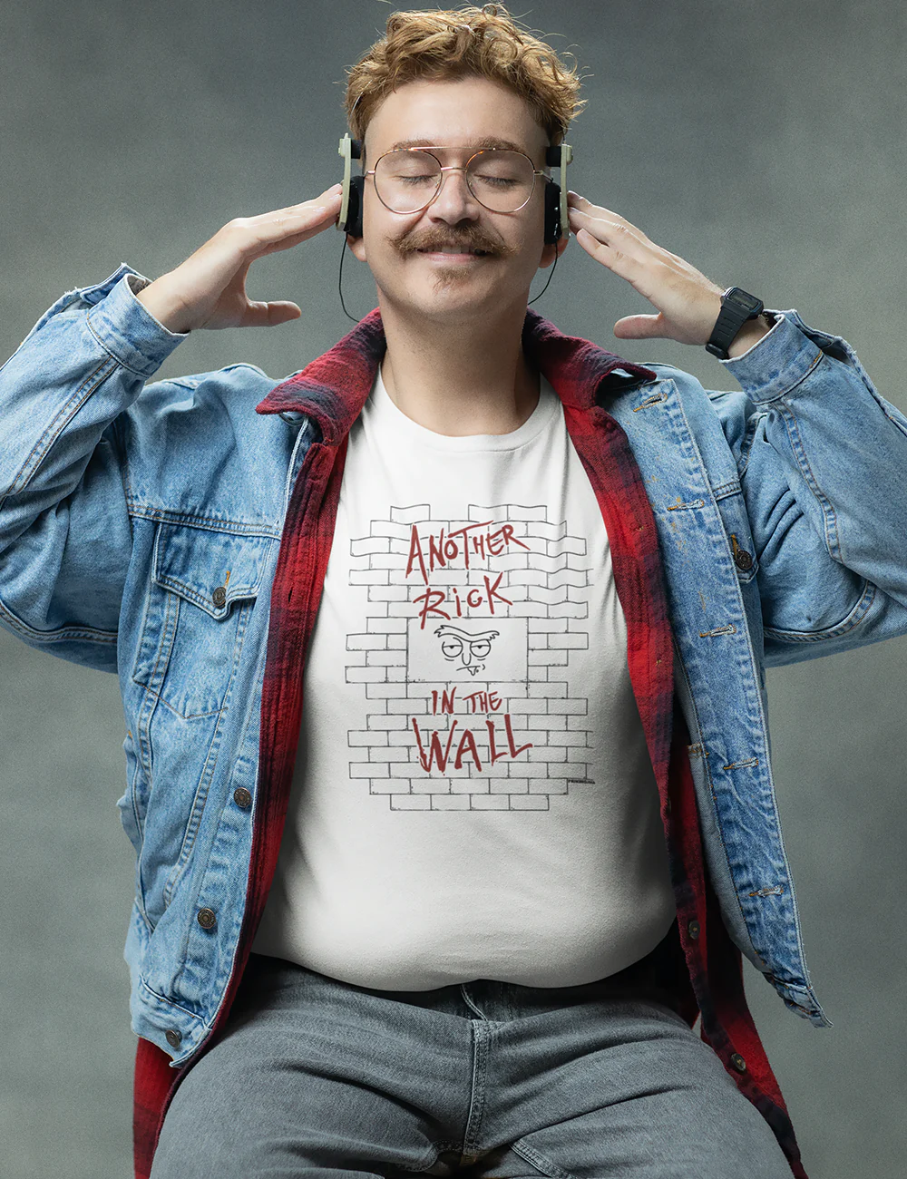 Rick in the wall - 294A - Image 2