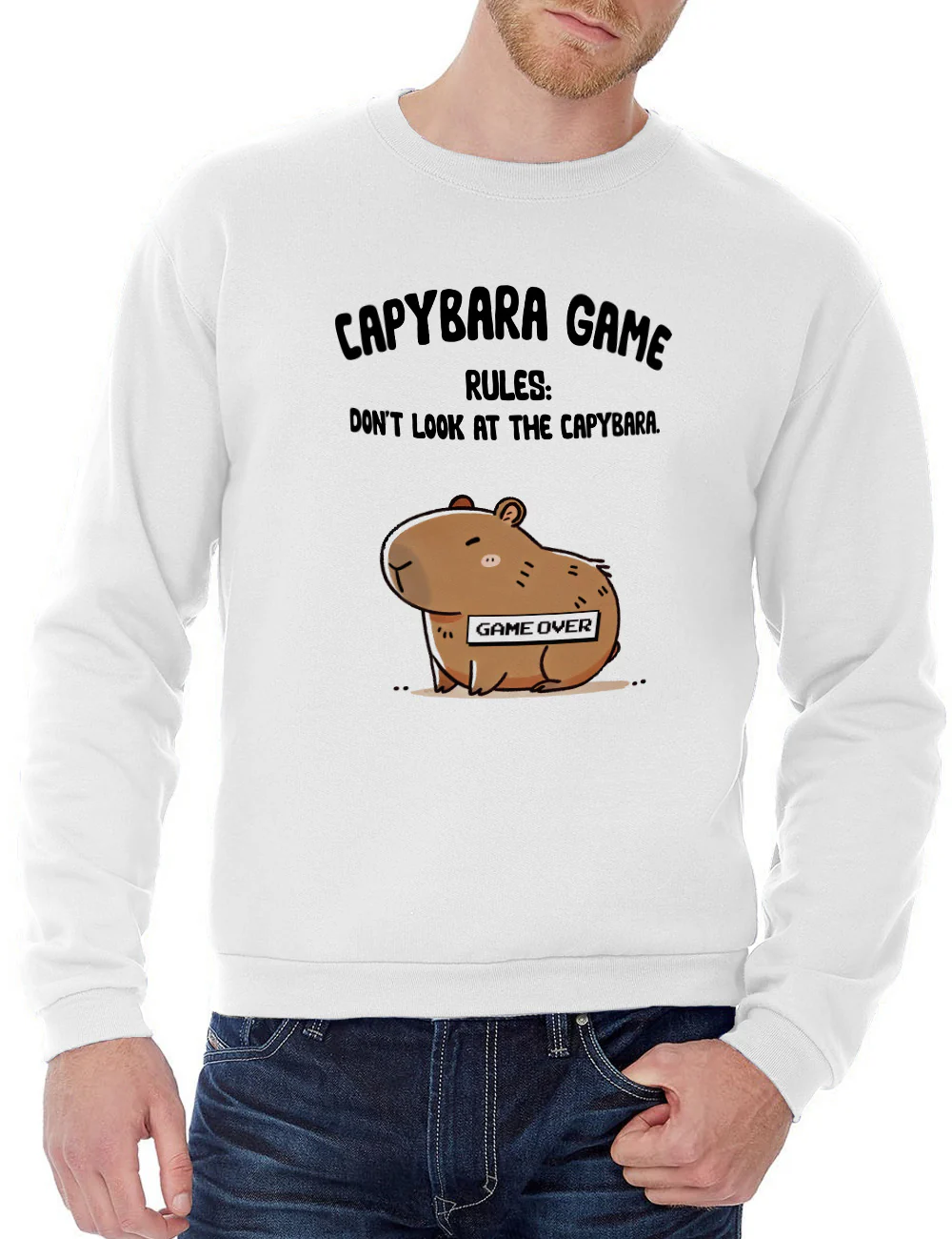 Capybara game 527A